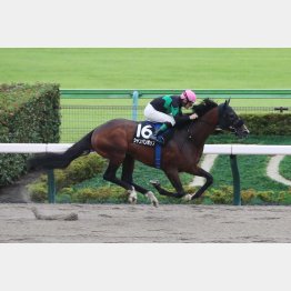 前走の東村山特別は５馬身差の圧勝
