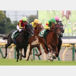 サウジアラビアＲＣは鋭い伸びで③着