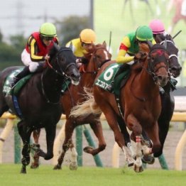 【市川の月曜競馬コラム・東京スポーツ杯２歳Ｓ】