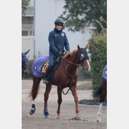 サレジオの結論は「注」