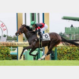 スケールの大きさを見せつけたデビュー戦Ｖ