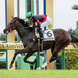 【新居の月曜競馬コラム・東京スポーツ杯２歳Ｓ】
