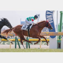 東京二千四百㍍は初勝利を挙げた好相性の舞台