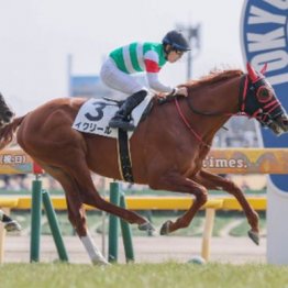 【木津の月曜競馬コラム・東京９Ｒ】