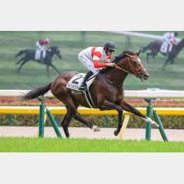 ハイレベルの新馬戦を制した