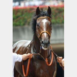 来年のダービー馬か