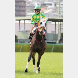 福島本紙・市川はマーゴットレジーナの巻き返しを期待