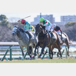 二千二百㍍で未勝利脱出と長距離適性十分