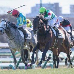 【福島本紙・市川の月曜福島９Ｒ】