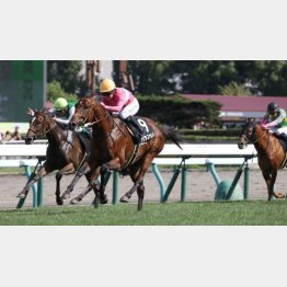 ２走前の藻岩山特別で②着（黄帽）