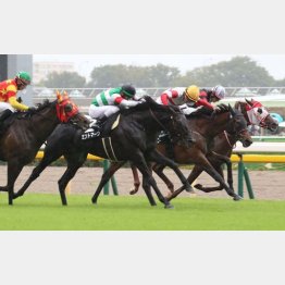 前走は強烈な末脚を見せた（左の緑帽）