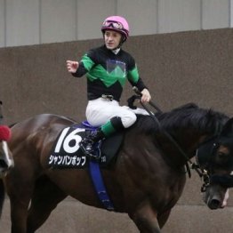 【東京本紙・外山の月曜東京10Ｒ】