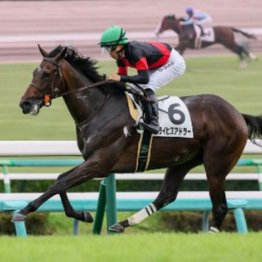 【東京本紙・外山の東京スポーツ杯２歳Ｓ】