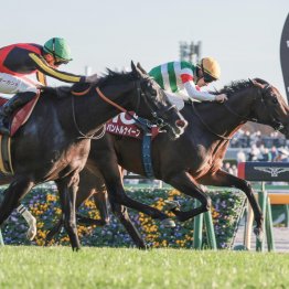マイルＣＳはタイレコードの高速決着で東京適性の高い馬が上位