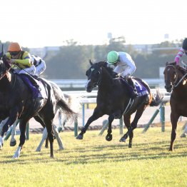 マイルＣＳはタイレコードの高速決着で東京適性の高い馬が上位