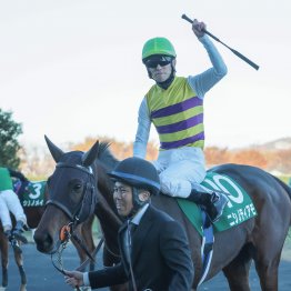 マイルＣＳはタイレコードの高速決着で東京適性の高い馬が上位