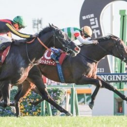 【東京スポーツ杯２歳Ｓ】パントルナイーフ出世レースを制す