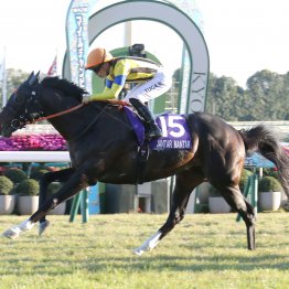 ジャンタルの凄さとソウルの敗因