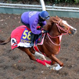 【ジャパンＣ】調教マル得チェック②