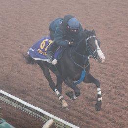 【ジャパンＣ】調教マル得チェック②