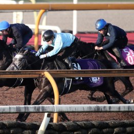 【ジャパンＣ】クロワデュノール出走決定　１Ｆ１１秒１で及第点以上