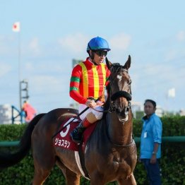 〈117〉ウインカーネリアンでＧⅠスプリンターズＳを制した鹿戸雄一調教師（４）