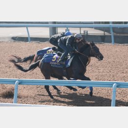 17年は１枠２頭でワン・ツー