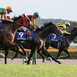 【ジャパンＣ】意外や意外 ジャスティンパレス鞍上のＣ・デムーロは東京重賞で未勝利だった