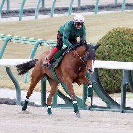 【ジャパンＣ】欧州最強馬カランダガンは買えるのか