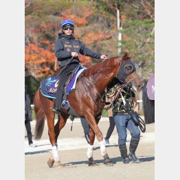 １週前追い切りに駆けつけた