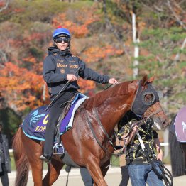 【ジャパンＣ】ダノンデサイル反撃あるのみ
