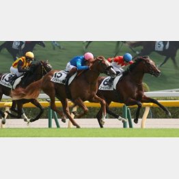 新馬戦を差し切り