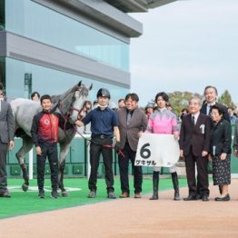 【木津の土曜競馬コラム・シャングリラ賞】