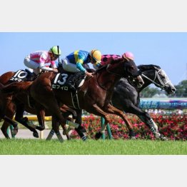 多摩川Ｓで大外一気