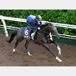 完全復調をアピール