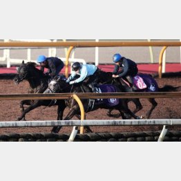 直前はクロワデュノールに食いついた（右）