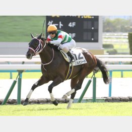 姉レシステンシアより距離はもつ