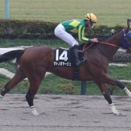 【東京本紙・外山の土曜東京９Ｒ】