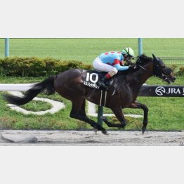 東京にも実績あり