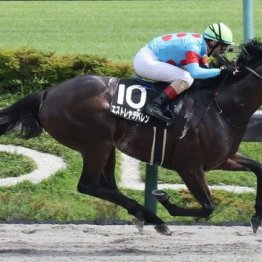 【東京本紙・外山の土曜東京10Ｒ】