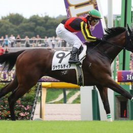 【東京本紙・外山の土曜東京12Ｒ】