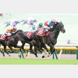 昨年はこのコースでＧⅡ富士Ｓ勝ち