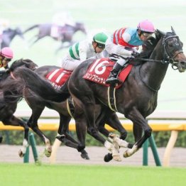 【東京本紙・外山の土曜東京11Ｒ】