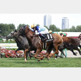 札幌で２勝クラスを勝ち上がり