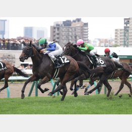 ２走前からの先行策が吉と出た