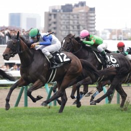 【大阪本紙・弘中の土曜京都12Ｒ】