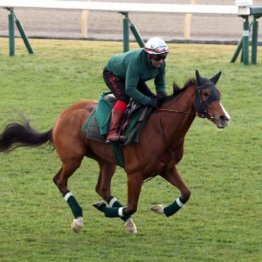 【東京本紙・外山のジャパンＣ】