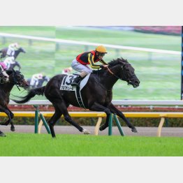 陣営も不安なし