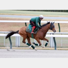 世界トップなら勝ち負け