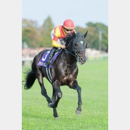 衰えはないジャスティンパレス